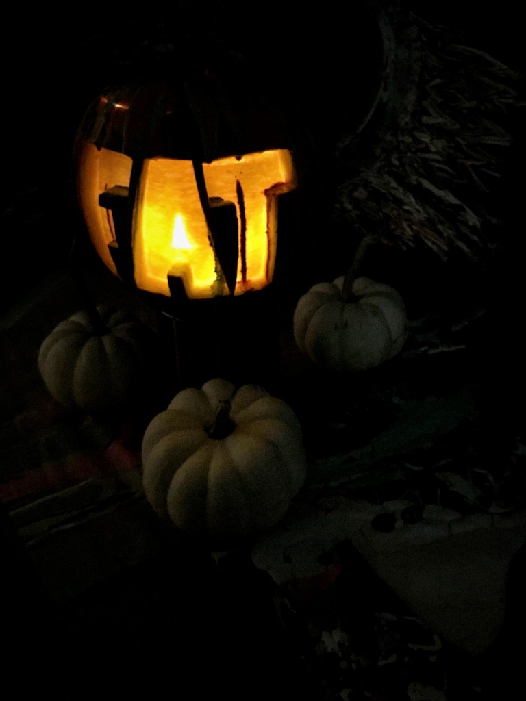 Pumpkin light FAT 1